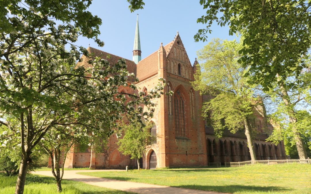 Workshop Obstbaumschnitt im ehemaligen Klostergarten des Klosters Chorin 2024