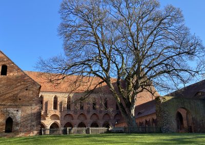 Klosteranlage mit 120 Jahre altem Ahorn im Frühjahr